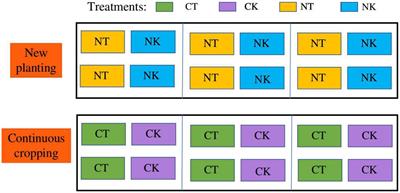 Effects of microbial agent application on the bacterial community in ginger rhizosphere soil under different planting years